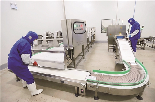 أنظمة مراقبة الحرارة وتسجيل بيانات HACCP لمعالجة الأغذية: وضع المستشعرات، فترات التحقق، والامتثال