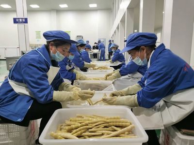 预制菜生产线